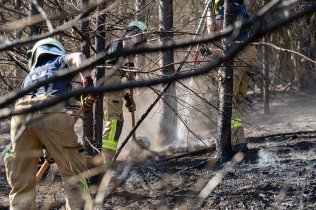 News Bilder des Tages #2 Feuer in Wald und in Wohngebiet fordert weit über 300 Einsatzkräfte Am 10.08.2026 brach gegen 13:15 Uhr zwischen Bad Schwalbach-Adolfseck und Hohenstein-Breithardt ein Waldbrand aus, der sich rasch auf über 8000 Quadratmeter ausbreitete. Rund 300 Feuerwehrkräfte sowie Kräfte von HessenForst bekämpften den Brand, für die Wasserversorgung wurde die B54 gesperrt. Gegen 14:15 Uhr griff parallel in Bad Schwalbach ein Feuer an einem Hang auf einen Anbau mit Garage über. Bei den beiden Einsätzen wurden insgesamt neun Personen leicht verletzt, zwei Einsatzkräfte mussten wegen Rauchgasinhalation ins Krankenhaus gebracht werden. Laut Kreisbrandmeister Michael Ehresmann besteht der Verdacht auf fahrlässige oder vorsätzliche Brandstiftung,
