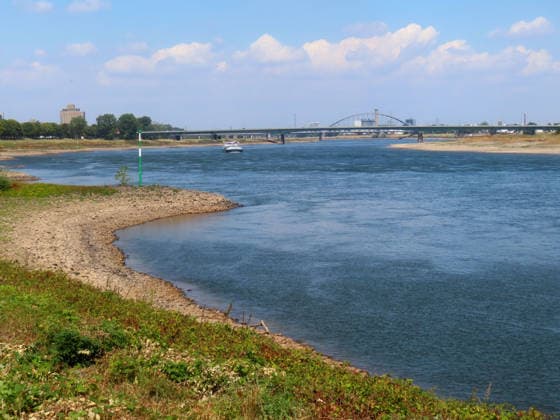 A lone cargo ship where dozens would normally be sailing up or down the Rhine. Water levels are at critically low levels and continue to fall. The Rhine between Düsseldorf and Neuss