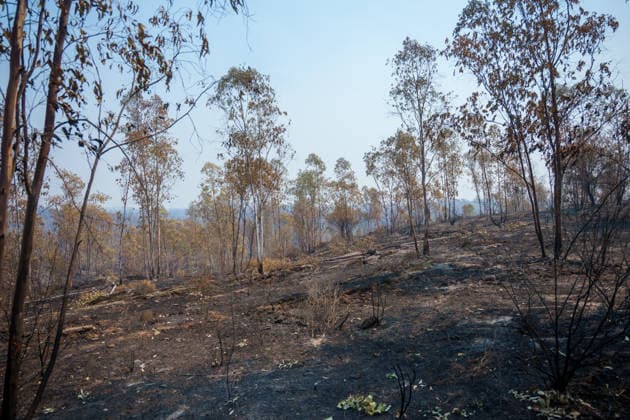 More than 500 personnel fighting the wildfire in Niebla, Huelva Area affected by the wildfire in Niebla, Huelva, which has been burning for five days As of August 11, 2026, in Niebla, Huelva, Andalusia, Spain More than 500 personnel from the Military Emergency Unit (UME) and the Civil Guard are now participating in efforts to extinguish the forest fire in Niebla, Huelva, following a further expansion of the human and material resources allocated to this operation. In addition, the UME has added four new bulldozers that will be deployed throughout Tuesday, primarily in the rear area. AUGUST 11, 2026 Francisco J. Niebla, Huelva, Andalusia, Spain Niebla, Huelva, Andalusia, Spain Spain Copyright: xFranciscoxJ.xOlmox 7709762