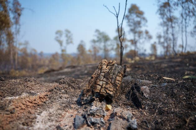 More than 500 personnel fighting the wildfire in Niebla, Huelva Area affected by the wildfire in Niebla, Huelva, which has been burning for five days As of August 11, 2026, in Niebla, Huelva, Andalusia, Spain More than 500 personnel from the Military Emergency Unit (UME) and the Civil Guard are now participating in efforts to extinguish the forest fire in Niebla, Huelva, following a further expansion of the human and material resources allocated to this operation. In addition, the UME has added four new bulldozers that will be deployed throughout Tuesday, primarily in the rear area. AUGUST 11, 2026 Francisco J. Niebla, Huelva, Andalusia, Spain Niebla, Huelva, Andalusia, Spain Spain Copyright: xFranciscoxJ.xOlmox 7709764