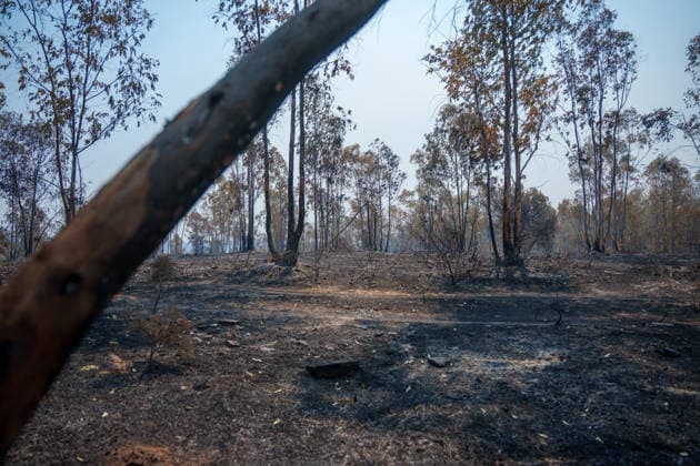 More than 500 personnel fighting the wildfire in Niebla, Huelva Area affected by the wildfire in Niebla, Huelva, which has been burning for five days As of August 11, 2026, in Niebla, Huelva, Andalusia, Spain More than 500 personnel from the Military Emergency Unit (UME) and the Civil Guard are now participating in efforts to extinguish the forest fire in Niebla, Huelva, following a further expansion of the human and material resources allocated to this operation. In addition, the UME has added four new bulldozers that will be deployed throughout Tuesday, primarily in the rear area. AUGUST 11, 2026 Francisco J. Niebla, Huelva, Andalusia, Spain Niebla, Huelva, Andalusia, Spain Spain Copyright: xFranciscoxJ.xOlmox 7709766