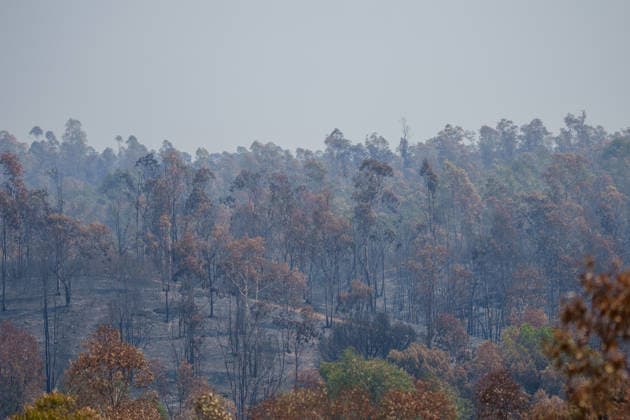 More than 500 personnel fighting the wildfire in Niebla, Huelva Area affected by the wildfire in Niebla, Huelva, which has been burning for five days As of August 11, 2026, in Niebla, Huelva, Andalusia, Spain More than 500 personnel from the Military Emergency Unit (UME) and the Civil Guard are now participating in efforts to extinguish the forest fire in Niebla, Huelva, following a further expansion of the human and material resources allocated to this operation. In addition, the UME has added four new bulldozers that will be deployed throughout Tuesday, primarily in the rear area. AUGUST 11, 2026 Francisco J. Niebla, Huelva, Andalusia, Spain Niebla, Huelva, Andalusia, Spain Spain Copyright: xFranciscoxJ.xOlmox 7709768