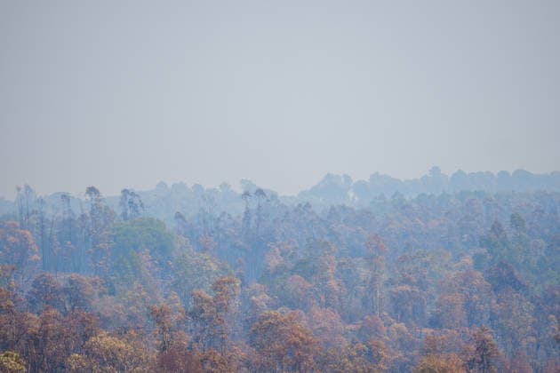 More than 500 personnel fighting the wildfire in Niebla, Huelva Area affected by the wildfire in Niebla, Huelva, which has been burning for five days As of August 11, 2026, in Niebla, Huelva, Andalusia, Spain More than 500 personnel from the Military Emergency Unit (UME) and the Civil Guard are now participating in efforts to extinguish the forest fire in Niebla, Huelva, following a further expansion of the human and material resources allocated to this operation. In addition, the UME has added four new bulldozers that will be deployed throughout Tuesday, primarily in the rear area. AUGUST 11, 2026 Francisco J. Niebla, Huelva, Andalusia, Spain Niebla, Huelva, Andalusia, Spain Spain Copyright: xFranciscoxJ.xOlmox 7709769