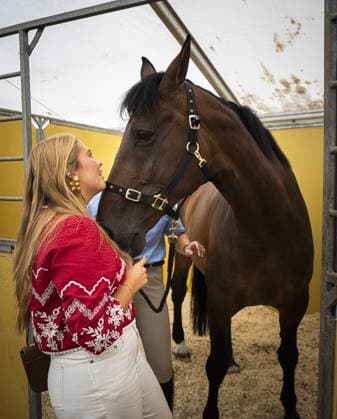 Aken, The Netherlands, 2026-08-11 14:04:40 AACHEN, 11-08-2026, Allianz Park Princess of Orange Princess Amalia attends the opening of the 2026 FEI World Championships in Aachen. The FEI World Championships is a large-scale global equestrian event where world titles are contested in all six equestrian disciplines: dressage, eventing, driving, para-dressage, show jumping, and vaulting. This year, the event is being organized in Aachen, which, like Rotterdam, is known for its Concours Hippique International Officiel (CHIO), and takes place at Allianz Park. PHOTO: NLBeeld POOL Patrick van Katwijk Credit: NL Beeld Patrick van Emst  Copyright: xx x
