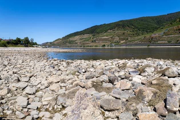 Der Rhein bei Trechtingshausen