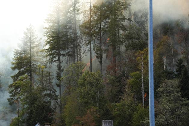 Forest Fire in Zell am Harmersbach, August 11, 2026 Forest Fire in Zell am Harmersbach, August 11, 2026 Zell am Harmersbach, Baden-Württemberg, Germany Copyright: xBEAUTIFULxSPORTS Boscox