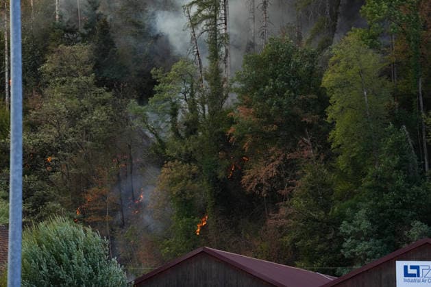 Forest Fire in Zell am Harmersbach, August 11, 2026 Forest Fire in Zell am Harmersbach, August 11, 2026 Zell am Harmersbach, Baden-Württemberg, Germany Copyright: xBEAUTIFULxSPORTS Boscox
