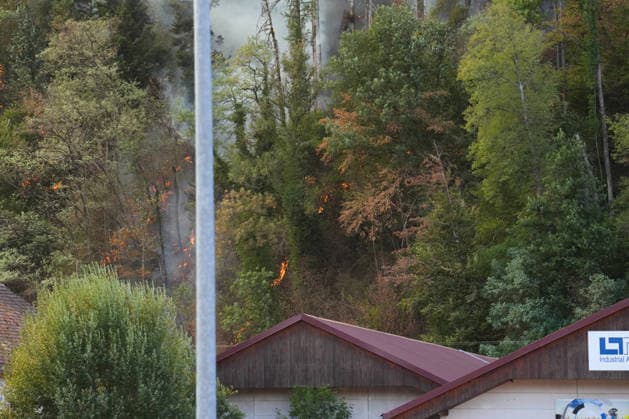 Forest Fire in Zell am Harmersbach, August 11, 2026 Forest Fire in Zell am Harmersbach, August 11, 2026 Zell am Harmersbach, Baden-Württemberg, Germany Copyright: xBEAUTIFULxSPORTS Boscox