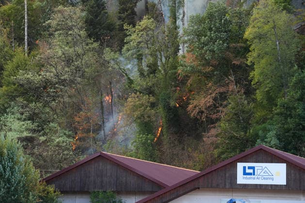 Forest Fire in Zell am Harmersbach, August 11, 2026 Forest Fire in Zell am Harmersbach, August 11, 2026 Zell am Harmersbach, Baden-Württemberg, Germany Copyright: xBEAUTIFULxSPORTS Boscox