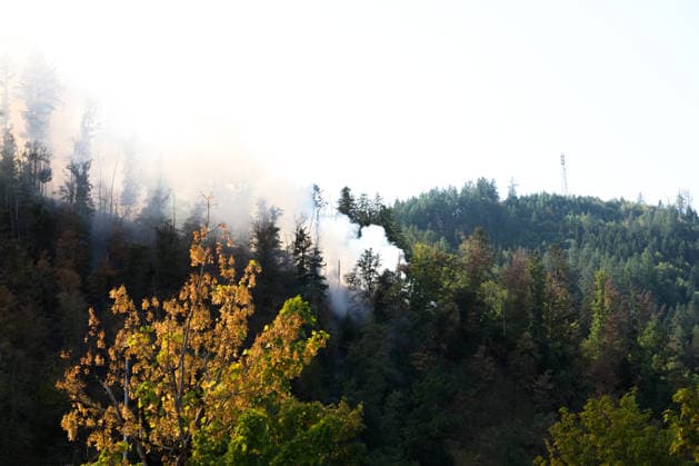 Forest Fire in Zell am Harmersbach, August 11, 2026 Forest Fire in Zell am Harmersbach, August 11, 2026 Zell am Harmersbach, Baden-Württemberg, Germany Copyright: xBEAUTIFULxSPORTS Boscox