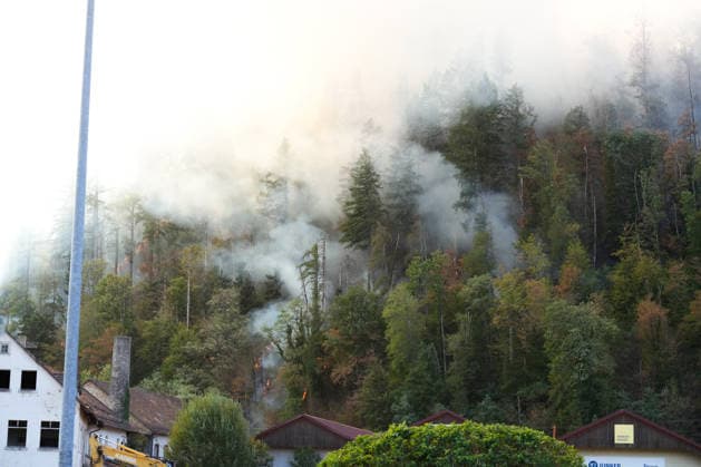 Forest Fire in Zell am Harmersbach, August 11, 2026 Forest Fire in Zell am Harmersbach, August 11, 2026 Zell am Harmersbach, Baden-Württemberg, Germany Copyright: xBEAUTIFULxSPORTS Boscox