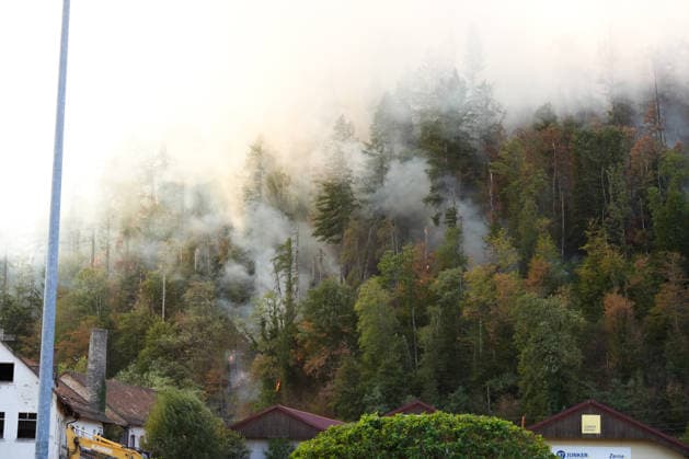Forest Fire in Zell am Harmersbach, August 11, 2026 Forest Fire in Zell am Harmersbach, August 11, 2026 Zell am Harmersbach, Baden-Württemberg, Germany Copyright: xBEAUTIFULxSPORTS Boscox