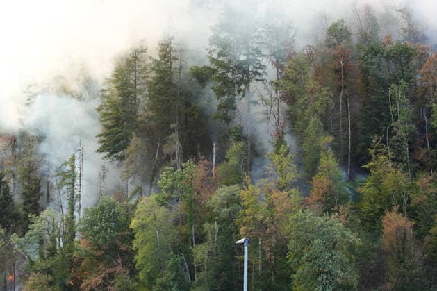 Forest Fire in Zell am Harmersbach, August 11, 2026 Forest Fire in Zell am Harmersbach, August 11, 2026 Zell am Harmersbach, Baden-Württemberg, Germany Copyright: xBEAUTIFULxSPORTS Boscox