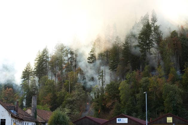 Forest Fire in Zell am Harmersbach, August 11, 2026 Forest Fire in Zell am Harmersbach, August 11, 2026 Zell am Harmersbach, Baden-Württemberg, Germany Copyright: xBEAUTIFULxSPORTS Boscox
