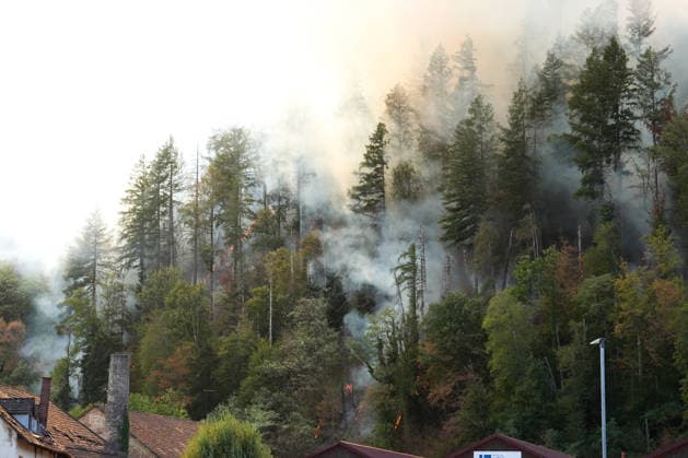 Forest Fire in Zell am Harmersbach, August 11, 2026 Forest Fire in Zell am Harmersbach, August 11, 2026 Zell am Harmersbach, Baden-Württemberg, Germany Copyright: xBEAUTIFULxSPORTS Boscox