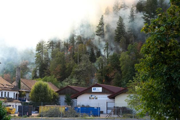 Forest Fire in Zell am Harmersbach, August 11, 2026 Forest Fire in Zell am Harmersbach, August 11, 2026 Zell am Harmersbach, Baden-Württemberg, Germany Copyright: xBEAUTIFULxSPORTS Boscox