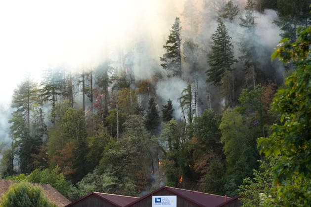 Forest Fire in Zell am Harmersbach, August 11, 2026 Forest Fire in Zell am Harmersbach, August 11, 2026 Zell am Harmersbach, Baden-Württemberg, Germany Copyright: xBEAUTIFULxSPORTS Boscox