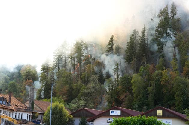 Forest Fire in Zell am Harmersbach, August 11, 2026 Forest Fire in Zell am Harmersbach, August 11, 2026 Zell am Harmersbach, Baden-Württemberg, Germany Copyright: xBEAUTIFULxSPORTS Boscox