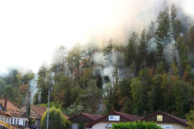 Forest Fire in Zell am Harmersbach, August 11, 2026 Forest Fire in Zell am Harmersbach, August 11, 2026 Zell am Harmersbach, Baden-Württemberg, Germany Copyright: xBEAUTIFULxSPORTS Boscox