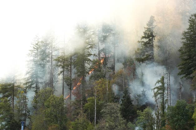 Forest Fire in Zell am Harmersbach, August 11, 2026 Forest Fire in Zell am Harmersbach, August 11, 2026 Zell am Harmersbach, Baden-Württemberg, Germany Copyright: xBEAUTIFULxSPORTS Boscox