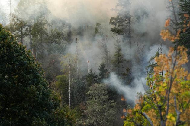 Forest Fire in Zell am Harmersbach, August 11, 2026 Forest Fire in Zell am Harmersbach, August 11, 2026 Zell am Harmersbach, Baden-Württemberg, Germany Copyright: xBEAUTIFULxSPORTS Boscox