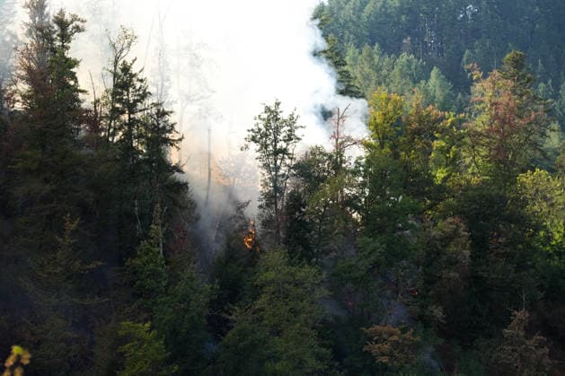 Forest Fire in Zell am Harmersbach, August 11, 2026 Forest Fire in Zell am Harmersbach, August 11, 2026 Zell am Harmersbach, Baden-Württemberg, Germany Copyright: xBEAUTIFULxSPORTS Boscox