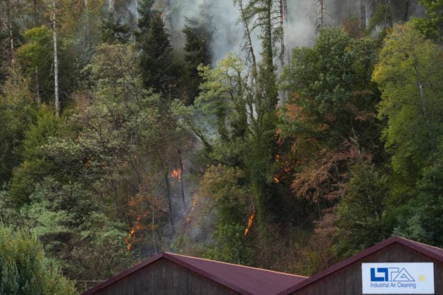 Forest Fire in Zell am Harmersbach, August 11, 2026 Forest Fire in Zell am Harmersbach, August 11, 2026 Zell am Harmersbach, Baden-Württemberg, Germany Copyright: xBEAUTIFULxSPORTS Boscox