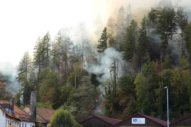 Forest Fire in Zell am Harmersbach, August 11, 2026 Forest Fire in Zell am Harmersbach, August 11, 2026 Zell am Harmersbach, Baden-Württemberg, Germany Copyright: xBEAUTIFULxSPORTS Boscox