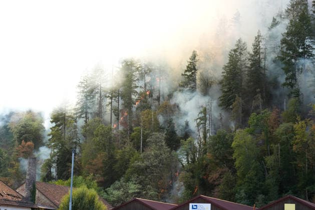 Forest Fire in Zell am Harmersbach, August 11, 2026 Forest Fire in Zell am Harmersbach, August 11, 2026 Zell am Harmersbach, Baden-Württemberg, Germany Copyright: xBEAUTIFULxSPORTS Boscox