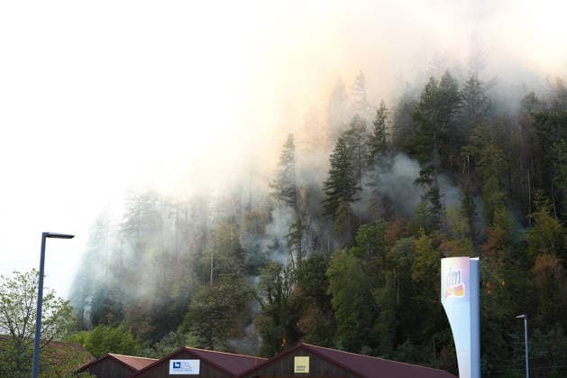 Forest Fire in Zell am Harmersbach, August 11, 2026 Forest Fire in Zell am Harmersbach, August 11, 2026 Zell am Harmersbach, Baden-Württemberg, Germany Copyright: xBEAUTIFULxSPORTS Boscox