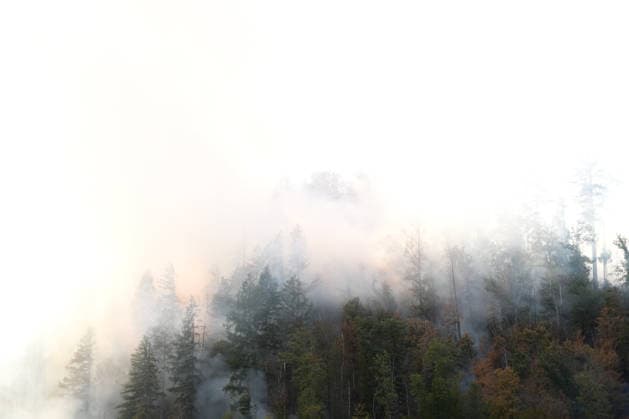 Forest Fire in Zell am Harmersbach, August 11, 2026 Forest Fire in Zell am Harmersbach, August 11, 2026 Zell am Harmersbach, Baden-Württemberg, Germany Copyright: xBEAUTIFULxSPORTS Boscox