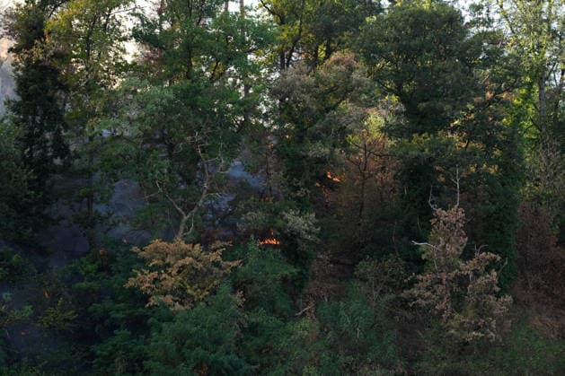 Forest Fire in Zell am Harmersbach, August 11, 2026 Forest Fire in Zell am Harmersbach, August 11, 2026 Zell am Harmersbach, Baden-Württemberg, Germany Copyright: xBEAUTIFULxSPORTS Boscox
