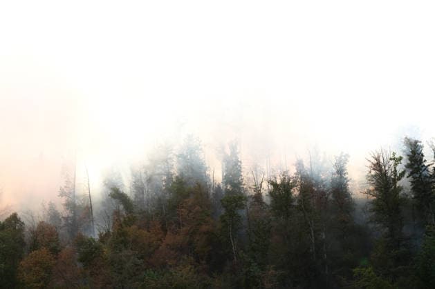 Forest Fire in Zell am Harmersbach, August 11, 2026 Forest Fire in Zell am Harmersbach, August 11, 2026 Zell am Harmersbach, Baden-Württemberg, Germany Copyright: xBEAUTIFULxSPORTS Boscox