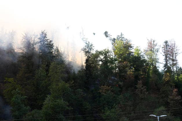 Forest Fire in Zell am Harmersbach, August 11, 2026 Forest Fire in Zell am Harmersbach, August 11, 2026 Zell am Harmersbach, Baden-Württemberg, Germany Copyright: xBEAUTIFULxSPORTS Boscox