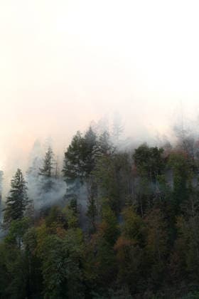 Forest Fire in Zell am Harmersbach, August 11, 2026 Forest Fire in Zell am Harmersbach, August 11, 2026 Zell am Harmersbach, Baden-Württemberg, Germany Copyright: xBEAUTIFULxSPORTS Boscox