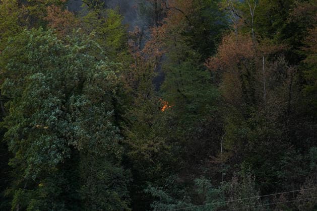 Forest Fire in Zell am Harmersbach, August 11, 2026 Forest Fire in Zell am Harmersbach, August 11, 2026 Zell am Harmersbach, Baden-Württemberg, Germany Copyright: xBEAUTIFULxSPORTS Boscox