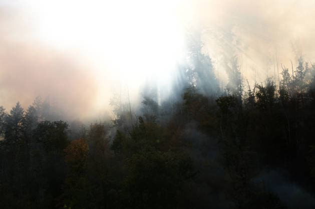 Forest Fire in Zell am Harmersbach, August 11, 2026 Forest Fire in Zell am Harmersbach, August 11, 2026 Zell am Harmersbach, Baden-Württemberg, Germany Copyright: xBEAUTIFULxSPORTS Boscox