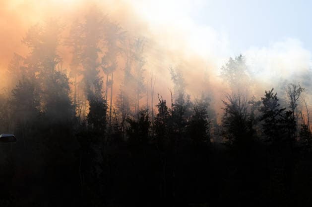 Forest Fire in Zell am Harmersbach, August 11, 2026 Forest Fire in Zell am Harmersbach, August 11, 2026 Zell am Harmersbach, Baden-Württemberg, Germany Copyright: xBEAUTIFULxSPORTS Boscox