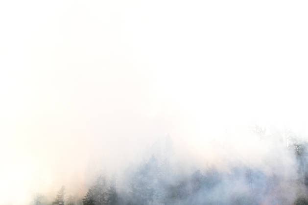 Forest Fire in Zell am Harmersbach, August 11, 2026 Forest Fire in Zell am Harmersbach, August 11, 2026 Zell am Harmersbach, Baden-Württemberg, Germany Copyright: xBEAUTIFULxSPORTS Boscox
