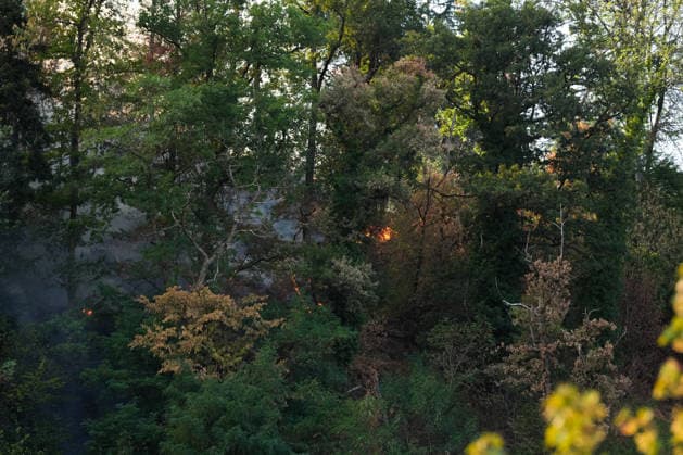 Forest Fire in Zell am Harmersbach, August 11, 2026 Forest Fire in Zell am Harmersbach, August 11, 2026 Zell am Harmersbach, Baden-Württemberg, Germany Copyright: xBEAUTIFULxSPORTS Boscox