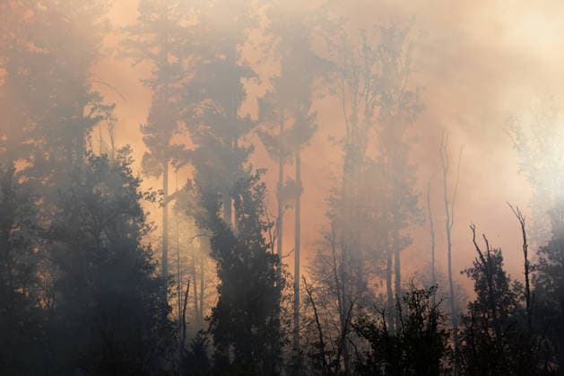 Forest Fire in Zell am Harmersbach, August 11, 2026 Forest Fire in Zell am Harmersbach, August 11, 2026 Zell am Harmersbach, Baden-Württemberg, Germany Copyright: xBEAUTIFULxSPORTS Boscox