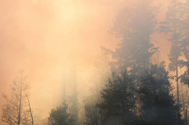 Forest Fire in Zell am Harmersbach, August 11, 2026 Forest Fire in Zell am Harmersbach, August 11, 2026 Zell am Harmersbach, Baden-Württemberg, Germany Copyright: xBEAUTIFULxSPORTS Boscox