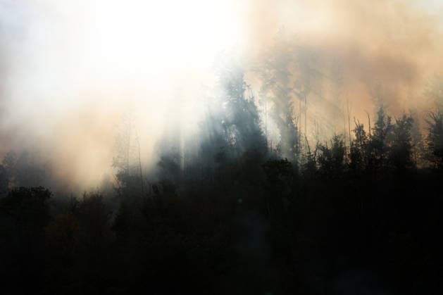 Forest Fire in Zell am Harmersbach, August 11, 2026 Forest Fire in Zell am Harmersbach, August 11, 2026 Zell am Harmersbach, Baden-Württemberg, Germany Copyright: xBEAUTIFULxSPORTS Boscox