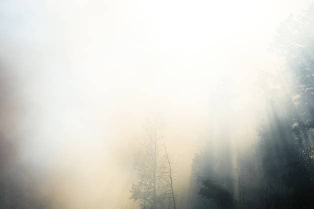 Forest Fire in Zell am Harmersbach, August 11, 2026 Forest Fire in Zell am Harmersbach, August 11, 2026 Zell am Harmersbach, Baden-Württemberg, Germany Copyright: xBEAUTIFULxSPORTS Boscox