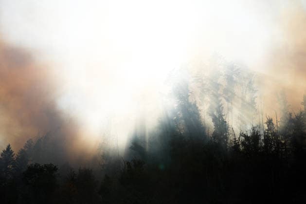 Forest Fire in Zell am Harmersbach, August 11, 2026 Forest Fire in Zell am Harmersbach, August 11, 2026 Zell am Harmersbach, Baden-Württemberg, Germany Copyright: xBEAUTIFULxSPORTS Boscox