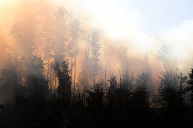 Forest Fire in Zell am Harmersbach, August 11, 2026 Forest Fire in Zell am Harmersbach, August 11, 2026 Zell am Harmersbach, Baden-Württemberg, Germany Copyright: xBEAUTIFULxSPORTS Boscox