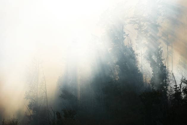 Forest Fire in Zell am Harmersbach, August 11, 2026 Forest Fire in Zell am Harmersbach, August 11, 2026 Zell am Harmersbach, Baden-Württemberg, Germany Copyright: xBEAUTIFULxSPORTS Boscox