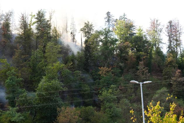 Forest Fire in Zell am Harmersbach, August 11, 2026 Forest Fire in Zell am Harmersbach, August 11, 2026 Zell am Harmersbach, Baden-Württemberg, Germany Copyright: xBEAUTIFULxSPORTS Boscox