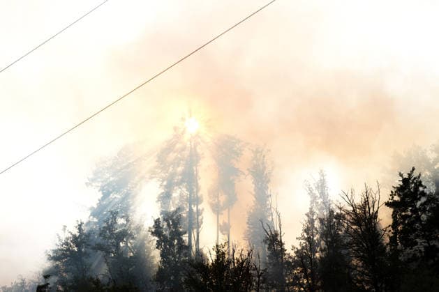 Forest Fire in Zell am Harmersbach, August 11, 2026 Forest Fire in Zell am Harmersbach, August 11, 2026 Zell am Harmersbach, Baden-Württemberg, Germany Copyright: xBEAUTIFULxSPORTS Boscox