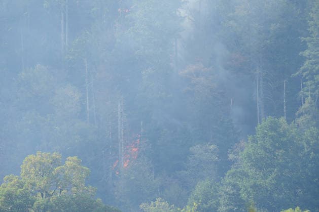 Forest Fire in Zell am Harmersbach, August 11, 2026 Forest Fire in Zell am Harmersbach, August 11, 2026 Zell am Harmersbach, Baden-Württemberg, Germany Copyright: xBEAUTIFULxSPORTS Boscox